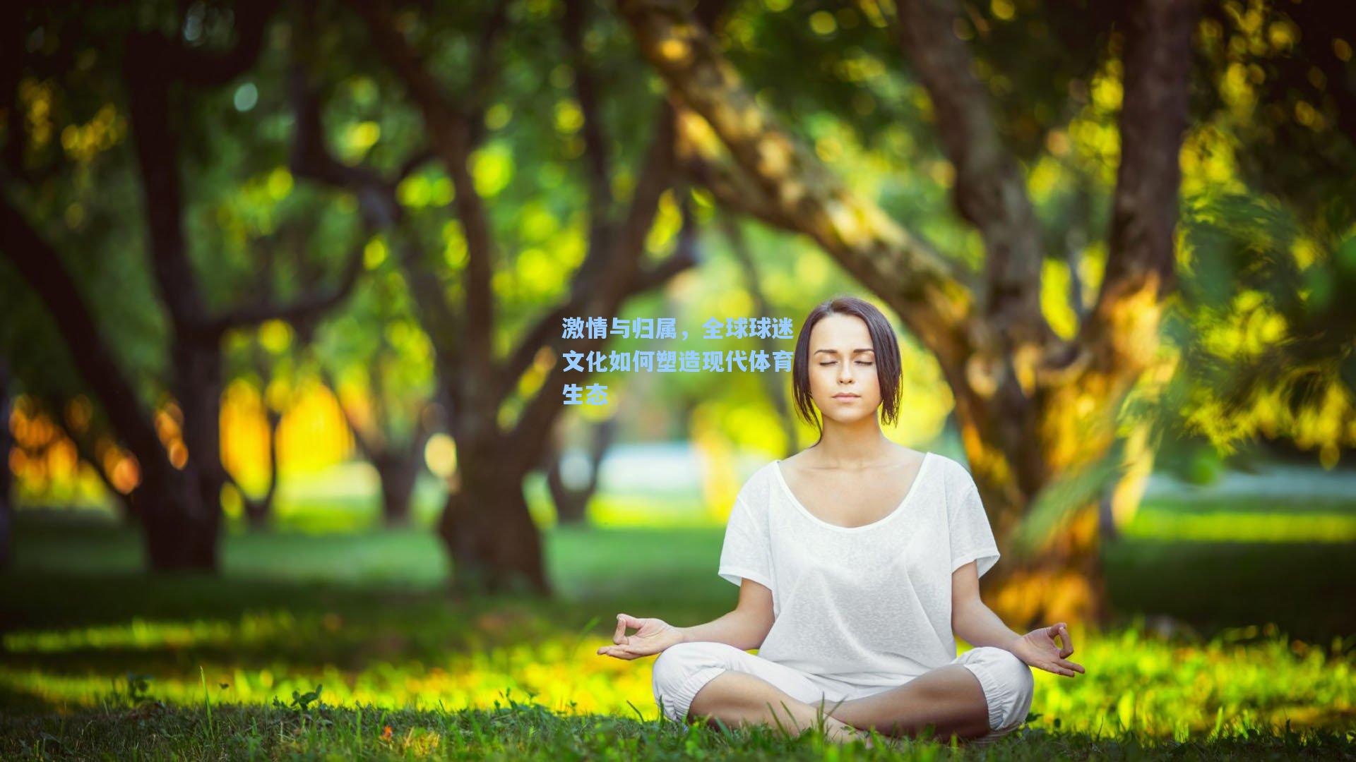 激情与归属，全球球迷文化如何塑造现代体育生态
