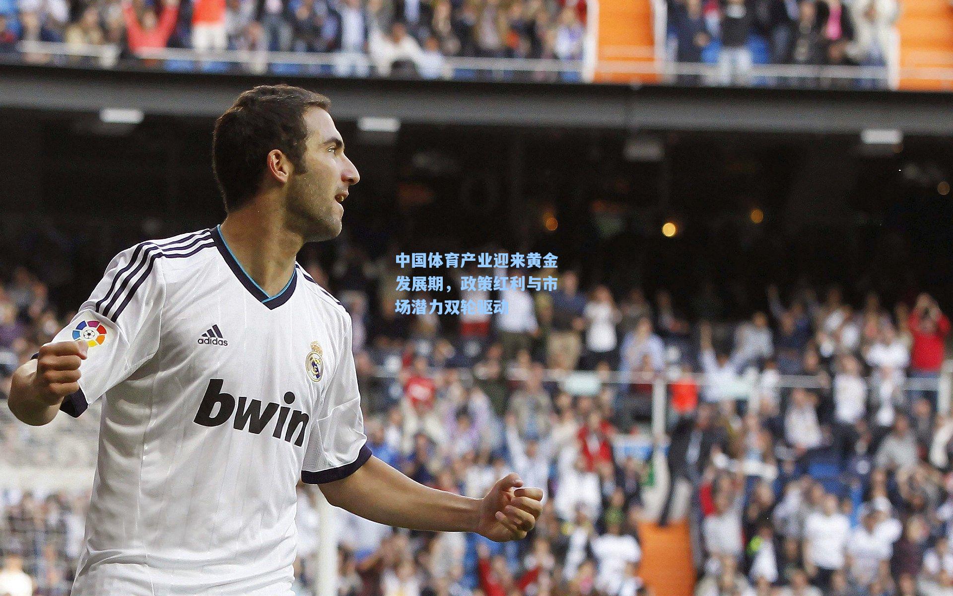 中国体育产业迎来黄金发展期，政策红利与市场潜力双轮驱动