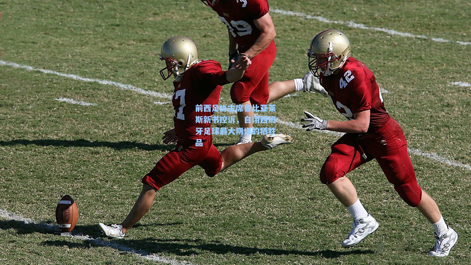 前西足协主席鲁比亚莱斯新书控诉，自诩西班牙足球最大阴谋的牺牲品